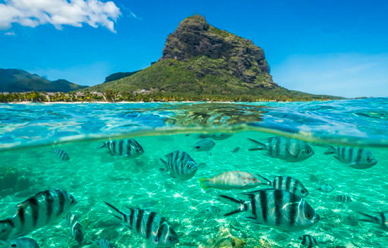 Mauritius Educational Trip